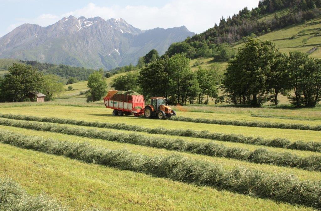 Une ferme collective et polyvalente, focus sur  Sainte-Luce !